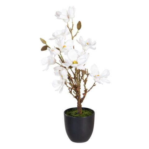 Διακοσμητικό Φυτό πολυεστέρας πολυαιθυλένιο Σίδερο 30 x 30 x 60 cm Magnolia