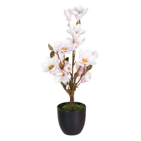 Διακοσμητικό Φυτό πολυεστέρας πολυαιθυλένιο Σίδερο 30 x 30 x 60 cm Magnolia