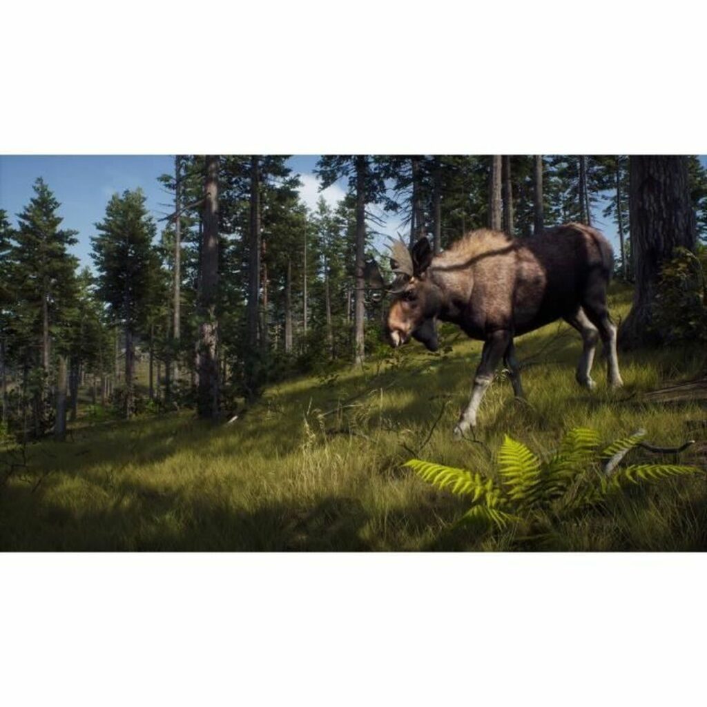 Βιντεοπαιχνίδι PlayStation 5 THQ Nordic Way of the Hunter: Hunting Season One