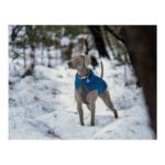Παλτό Σκύλου Red Dingo Puffer Τυρκουάζ 35 cm