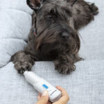 Ηλεκτρική λίμα νυχιών για κατοικίδια ζώα PediPet InnovaGoods
