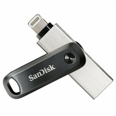 Στικάκι USB SanDisk Ασημί 256 GB
