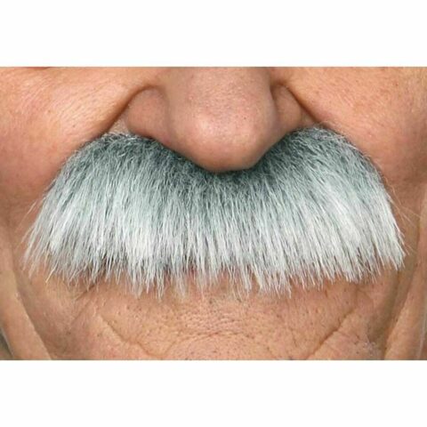 Μουστάκι My Other Me Ένα μέγεθος Γκρι