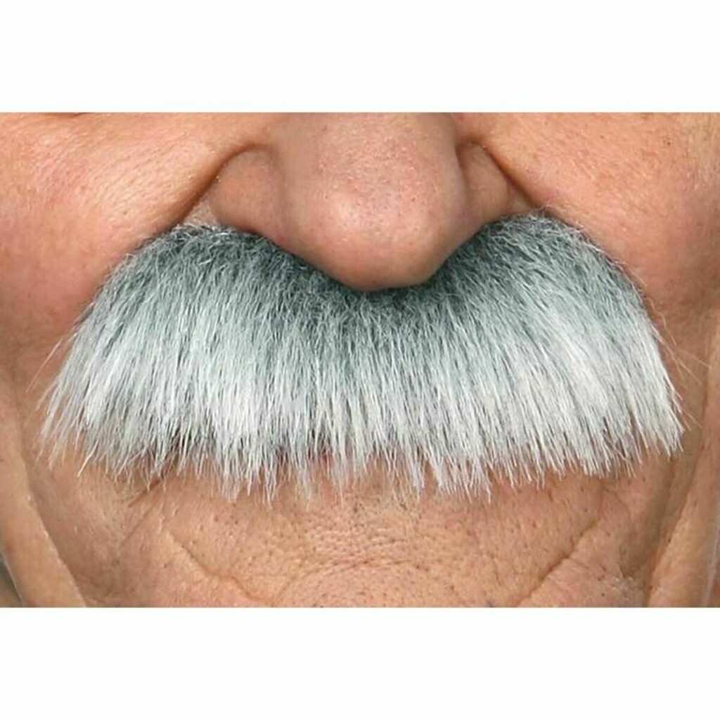Μουστάκι My Other Me Ένα μέγεθος Γκρι