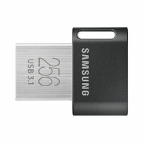 Στικάκι USB Samsung MUF 256AB/APC 256 GB