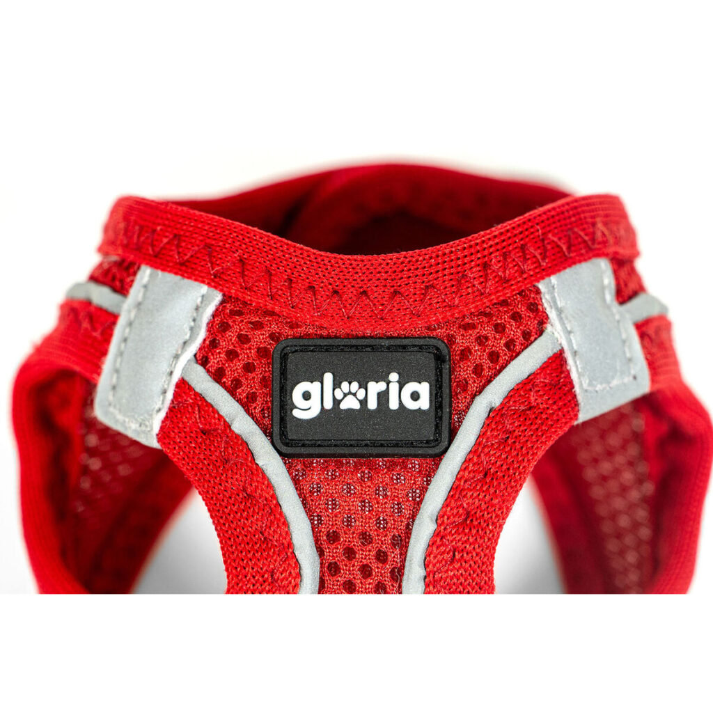 Λουρί Σκύλου Gloria Trek Star 29