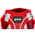 Λουρί Σκύλου Gloria Trek Star 29