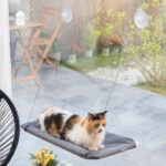 Κρεμαστή Αιώρα για Γάτες Catlax InnovaGoods