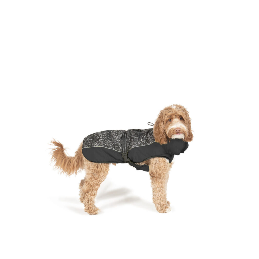 Παλτό Σκύλου Dog Gone Smart Μαύρο 45 cm