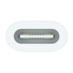 Γραφικά δισκία και στυλό Apple MWML3ZM/A