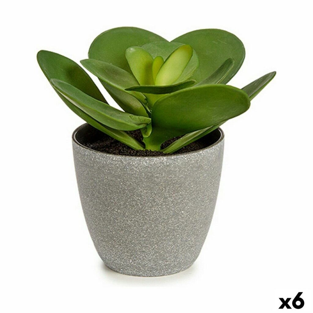 Διακοσμητικό Φυτό Ibergarden YC184572 Πλαστική ύλη 18 x 18