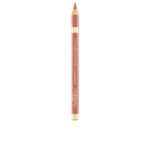 Lipliner Color Riche L'Oreal Make Up