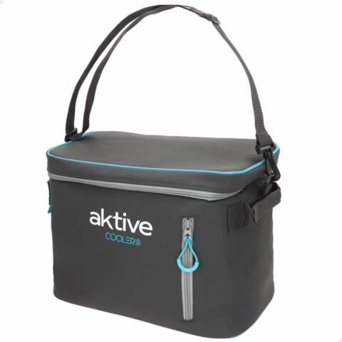 Φορητό Ψυγείο Θερμός Aktive 18 L 34 x 21 x 26 cm