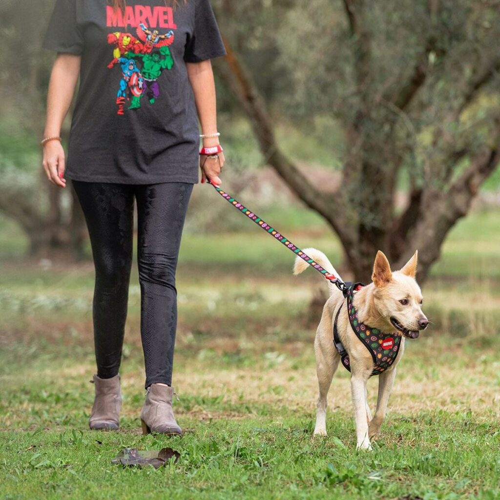 Λουρί Σκύλου Marvel