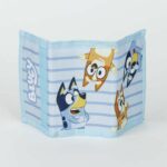 Σετ γυαλιών Hλίου και Πορτοφόλι. Bluey
