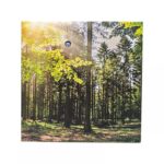 Cozy Sound Βox Με Ελεγχο Κίνησης !!! Soundbox Forest Motion Detector
