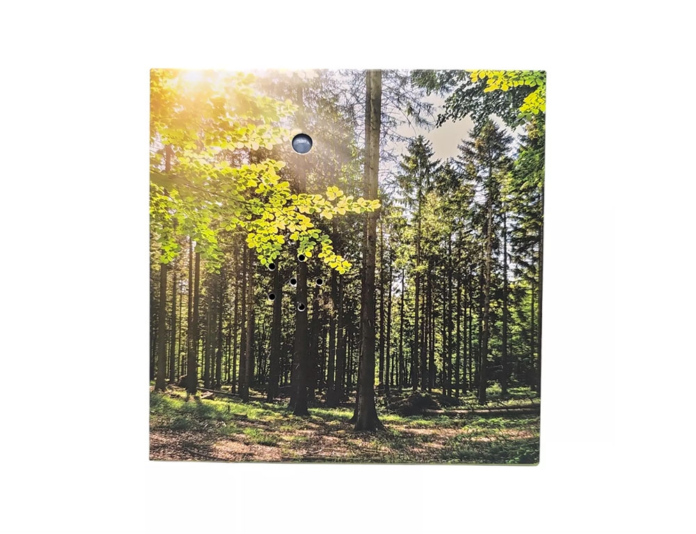 Cozy Sound Βox Με Ελεγχο Κίνησης !!! Soundbox Forest Motion Detector