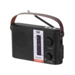 Φορητό ραδιόφωνο Bluetooth Trevi RA 7F25 BT Μαύρο