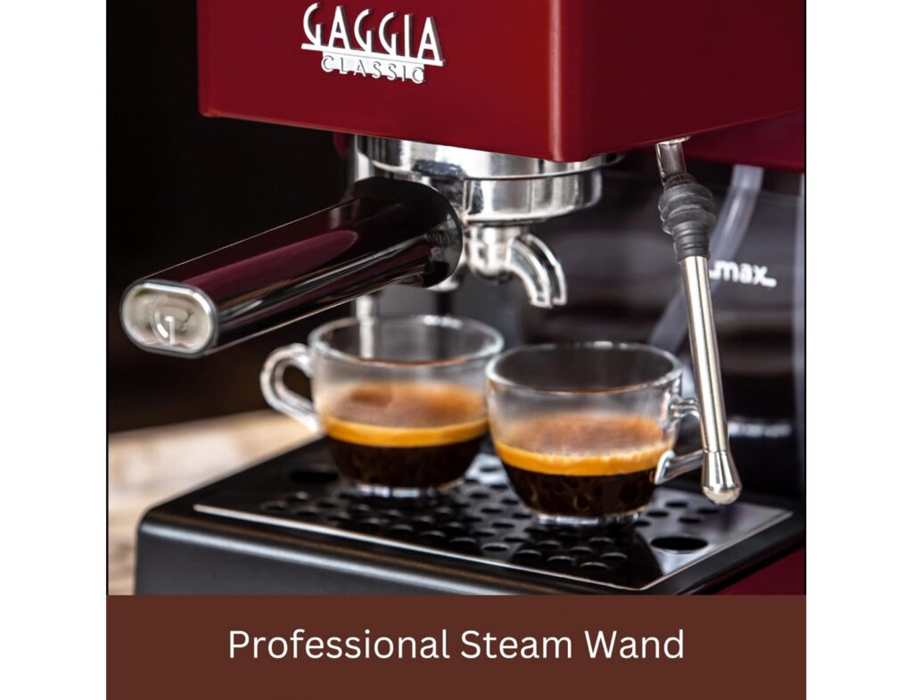 Καφετιέρες Εσπρεσσιερα Gaggia Classic Evo Red Ri9481/12