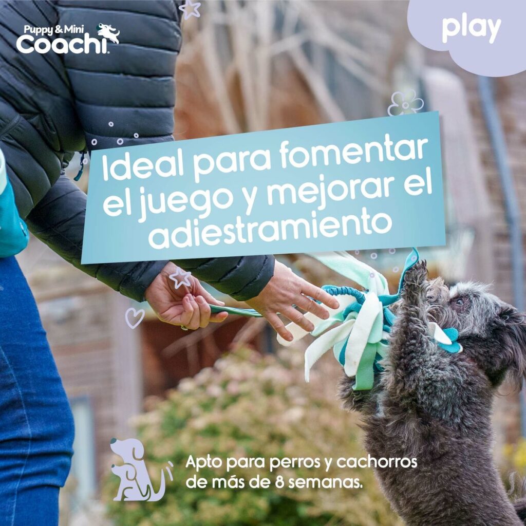 Λουρί Σκύλου Coachi