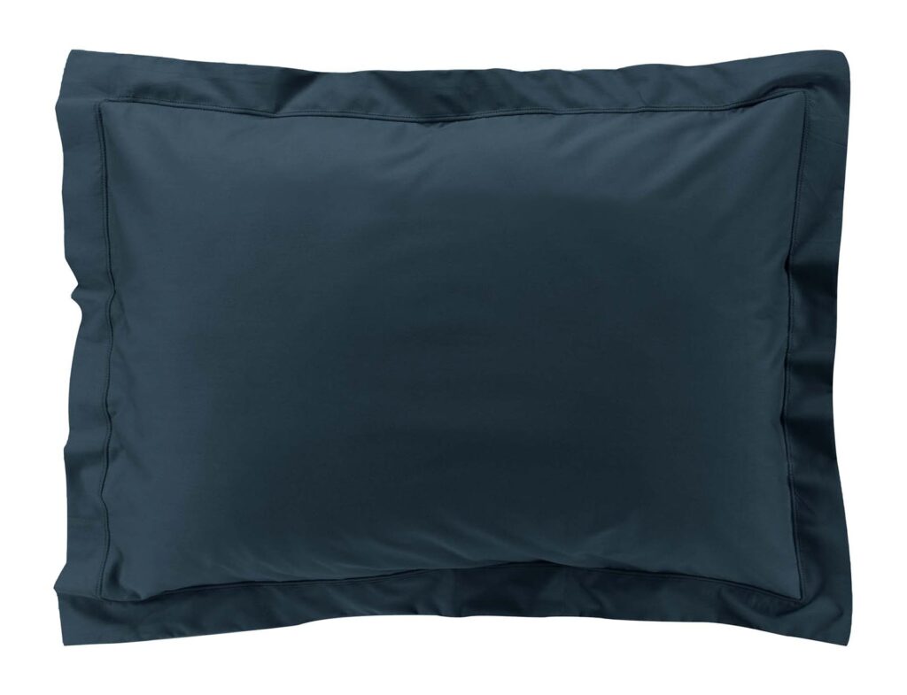 Μαξιλαροθήκη Douceur D'intérieur - 50X70Cm - Μπλε
