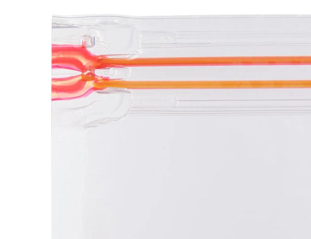 Οργάνωση Ντουλάπας Lot Vac Bag X2 Airless Cube