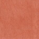 Σουπλά & Σουβέρ Placemat Maha Terra 45X30 188807D