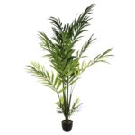 Τεχνητά Φυτά & Κασπώ Areca Palm Tree H230 Atmosphera 155729