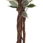 Τεχνητά Φυτά & Κασπώ Artif Ficus Bico H180 110341A