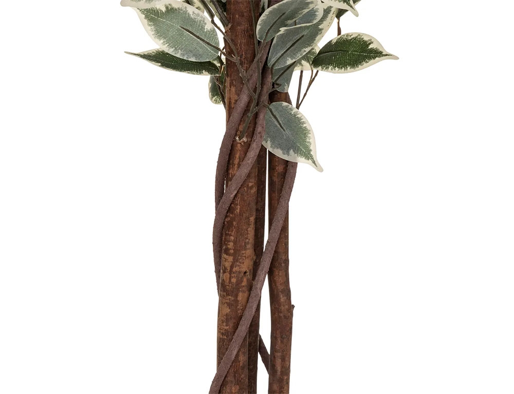 Τεχνητά Φυτά & Κασπώ Artif Ficus Bico H180 110341A