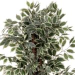 Τεχνητά Φυτά & Κασπώ Artif Ficus Bico H180 110341A