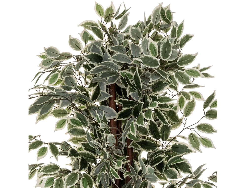 Τεχνητά Φυτά & Κασπώ Artif Ficus Bico H180 110341A