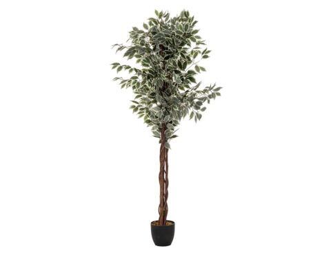 Τεχνητά Φυτά & Κασπώ Artif Ficus Bico H180 110341A