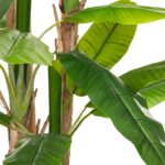 Τεχνητά Φυτά & Κασπώ Big Banana Tree 2.85M 179279