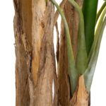 Τεχνητά Φυτά & Κασπώ Big Banana Tree 2.85M 179279