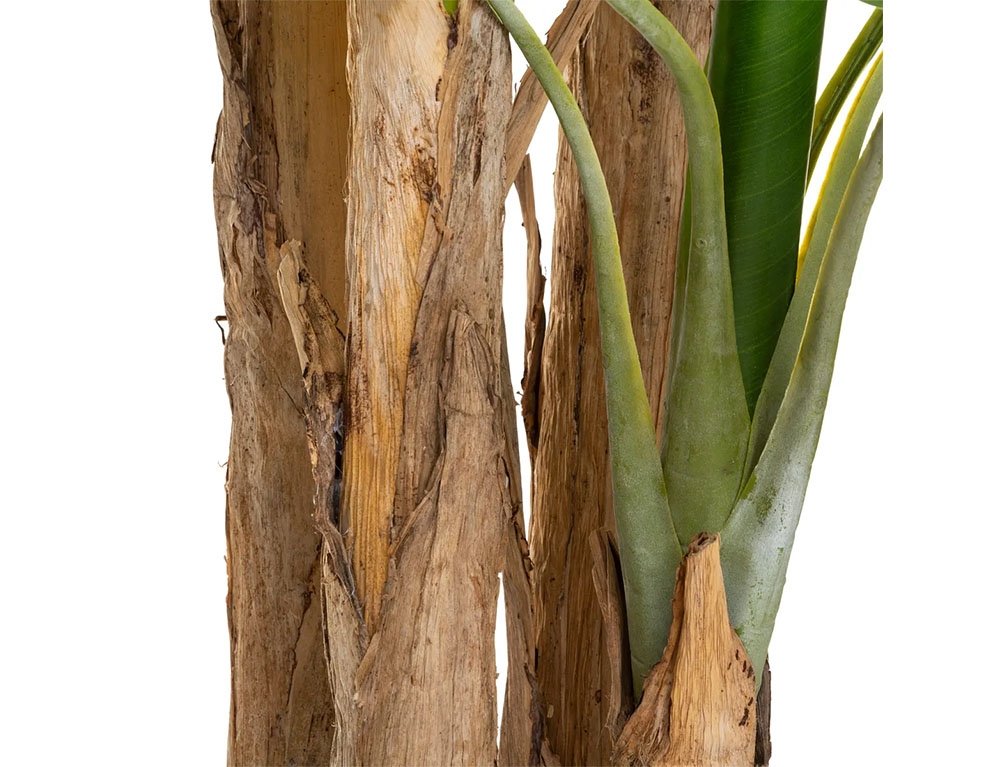 Τεχνητά Φυτά & Κασπώ Big Banana Tree 2.85M 179279