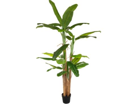 Τεχνητά Φυτά & Κασπώ Big Banana Tree 2.85M 179279