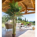 Τεχνητά Φυτά & Κασπώ Big Palmtree 5 Truncs 3.6M 168525