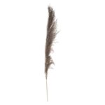 Τεχνητά Φυτά & Κασπώ Brown Pampa X3 H110 179282B