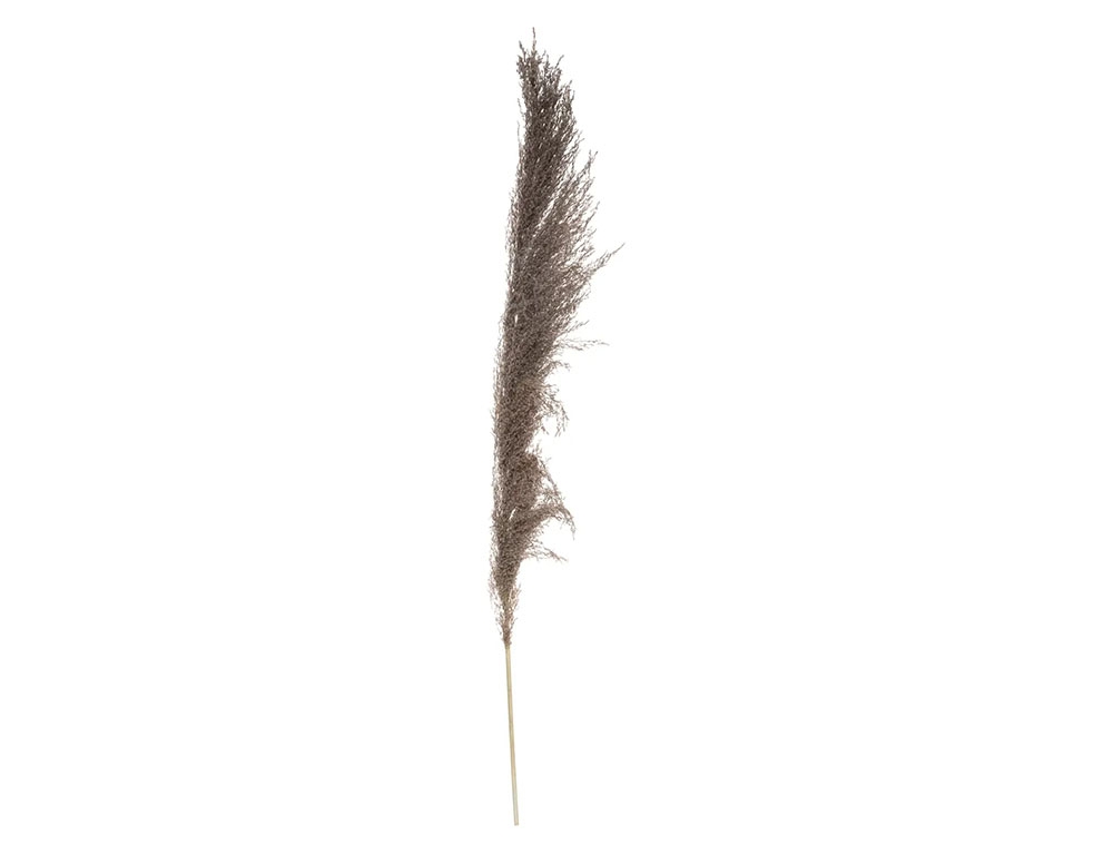 Τεχνητά Φυτά & Κασπώ Brown Pampa X3 H110 179282B