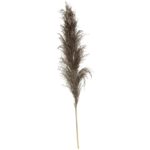 Τεχνητά Φυτά & Κασπώ Brown Pampa X3 H110 179282B