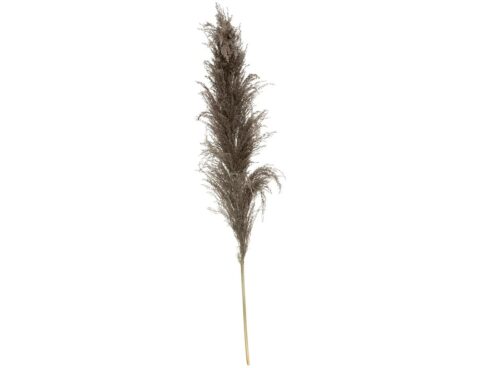 Τεχνητά Φυτά & Κασπώ Brown Pampa X3 H110 179282B