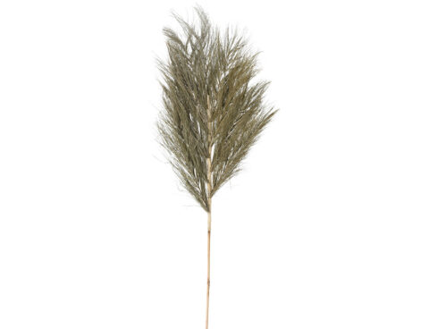 Τεχνητά Φυτά & Κασπώ Deco Stem 150Cm D22310020