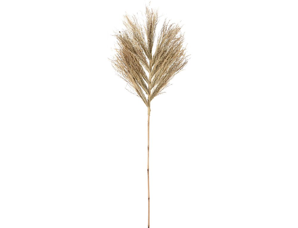 Τεχνητά Φυτά & Κασπώ Deco Stem 150Cm D22310030