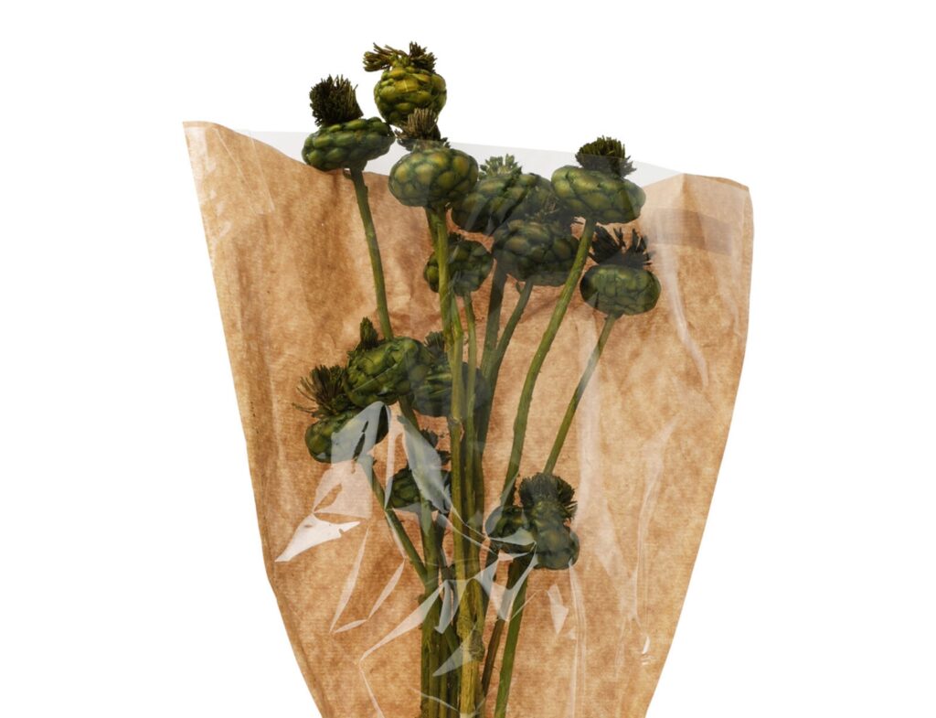 Τεχνητά Φυτά & Κασπώ Dried Flowers Artichoke Green