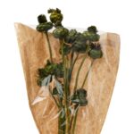 Τεχνητά Φυτά & Κασπώ Dried Flowers Artichoke Green
