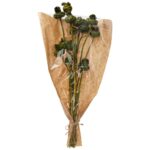 Τεχνητά Φυτά & Κασπώ Dried Flowers Artichoke Green