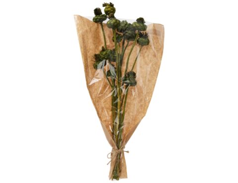 Τεχνητά Φυτά & Κασπώ Dried Flowers Artichoke Green