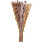 Τεχνητά Φυτά & Κασπώ Dried Flowers Wild Daisy Old P Amd001110