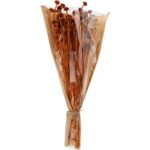 Τεχνητά Φυτά & Κασπώ Dried Flowers Wild Daisy Terra Amd001120